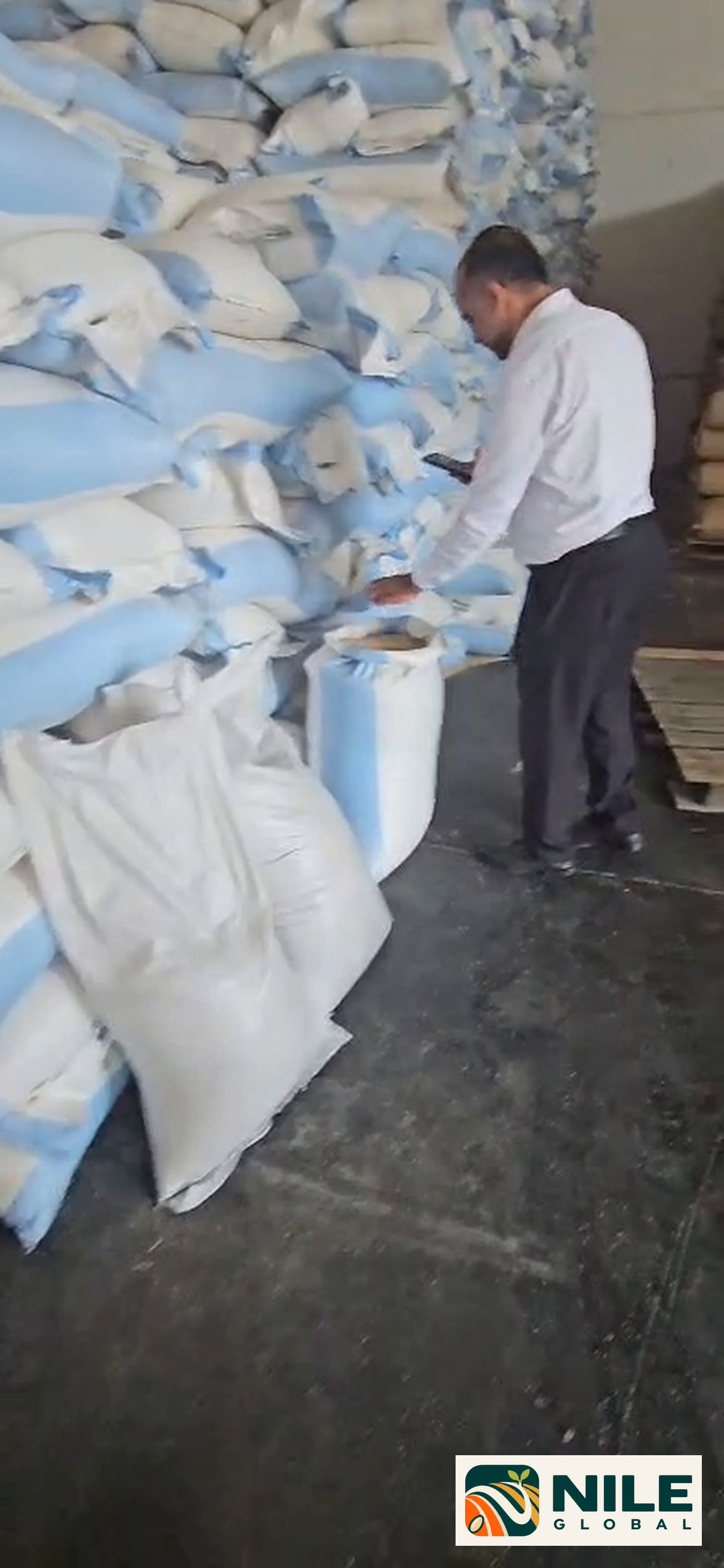 Sesame quality inspection