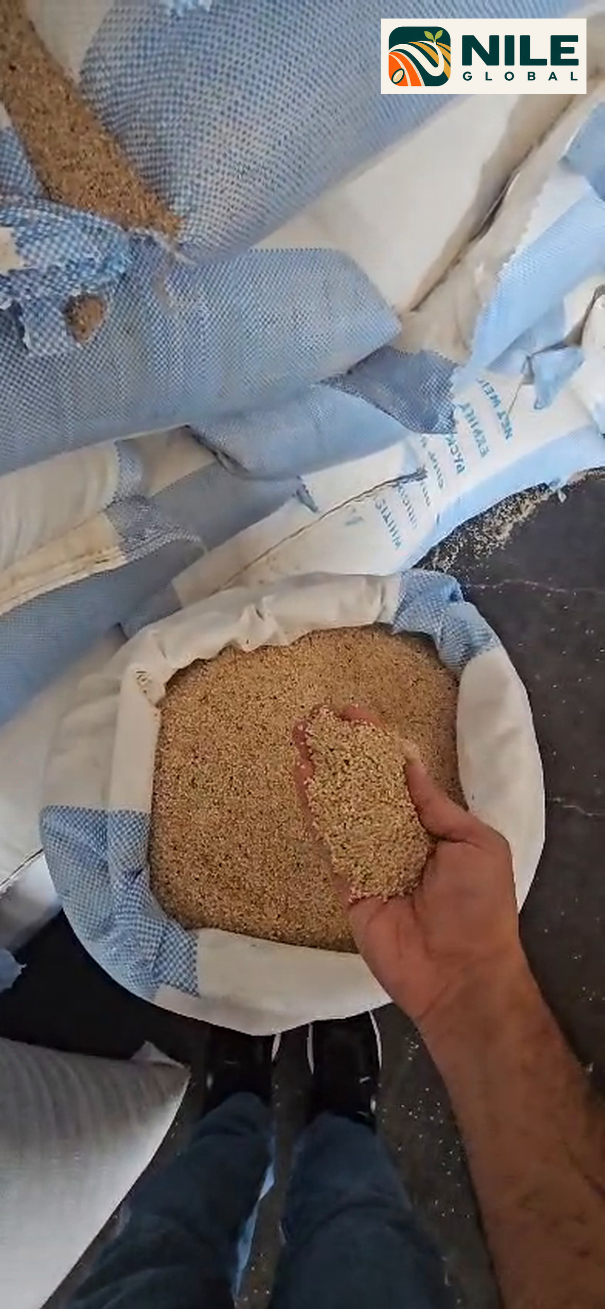 White sesame sample held during quality review