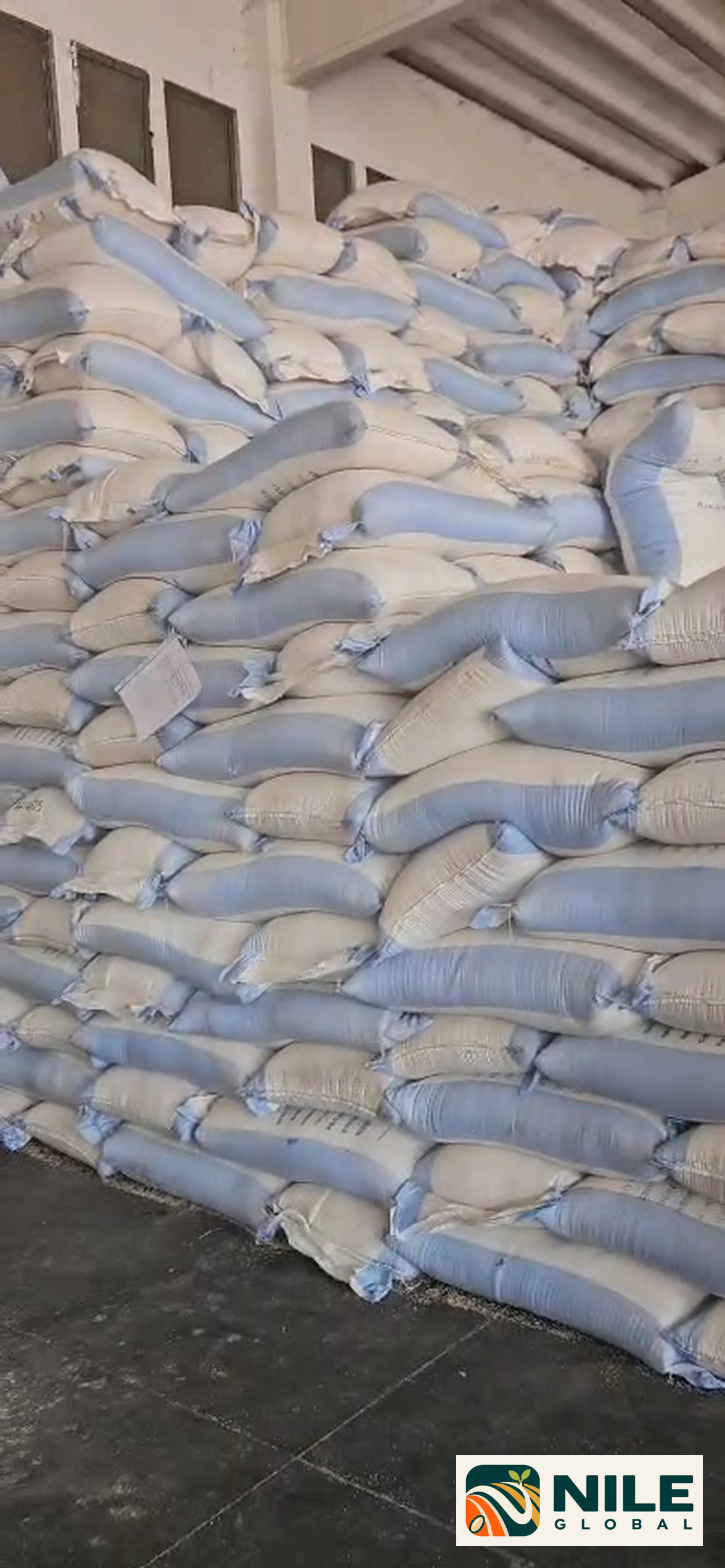 Bulk sesame stock in a Nile Global supply warehouse